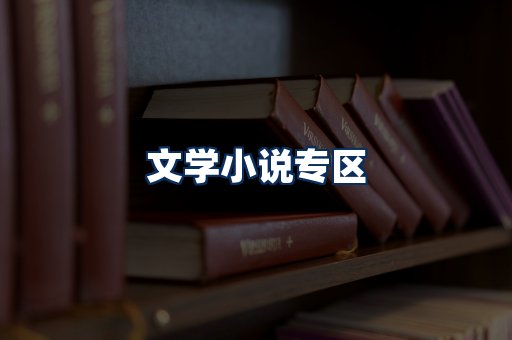 文学小说PDF展示